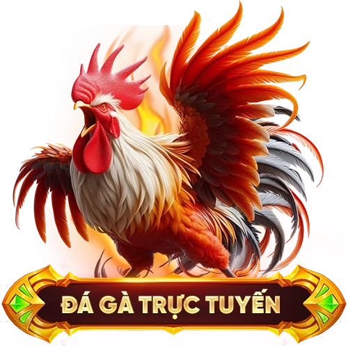 đá gà trực tuyến JBO